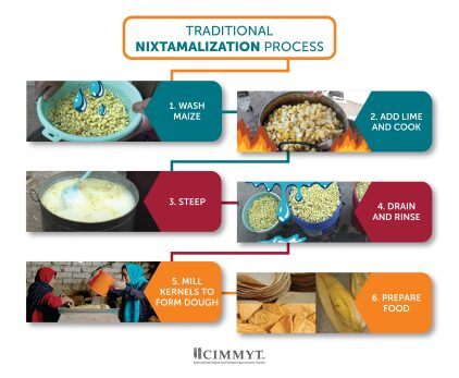 For more information on how Nixtamalization by High Grade Calcium Hydroxide can enhance your food processing operations, please contact us at 62 81287 348 590.