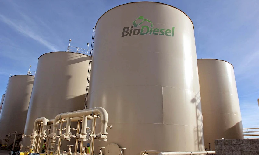 Konsultasikan kebutuhan Anda bersama pakar engineering, proses, hingga scale-up teknologi katalis biodiesel bersama Dian Comting. Hubungi sekarang: 6281 287 348 590 Ingin memulai produksi biodiesel catalyst? Bingung mengoptimalkan proses transesterification, atau membutuhkan spesialis heterogeneous & homogeneous catalyst untuk biodiesel production skala UMKM maupun industri?